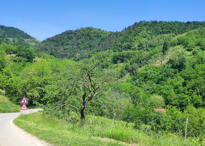 Апартаменты Magnolia *