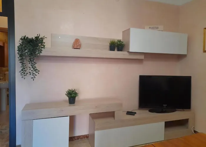 Magnolia Galzignano Terme